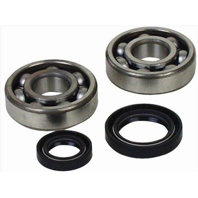 Kit rodamientos y retenes de cigüeñal ALL BALLS 24-1034 - motoscamaralweb.com