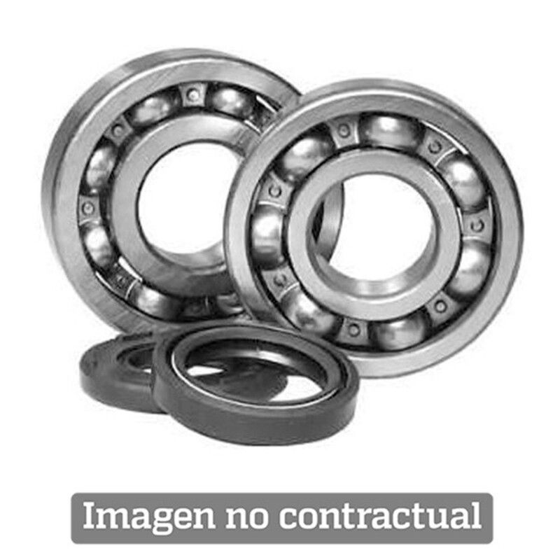 Kit rodamientos de cigüeñal ALL BALLS 24-1053 - motoscamaralweb.com