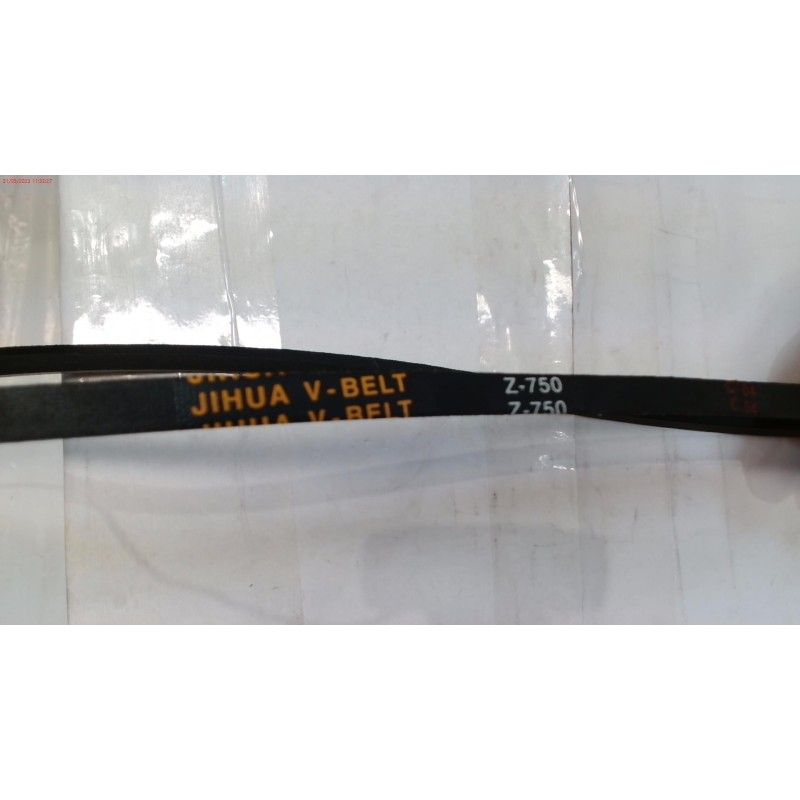 CORREA DLM4601 (Z-29 1/2)- motoscamaralweb.com