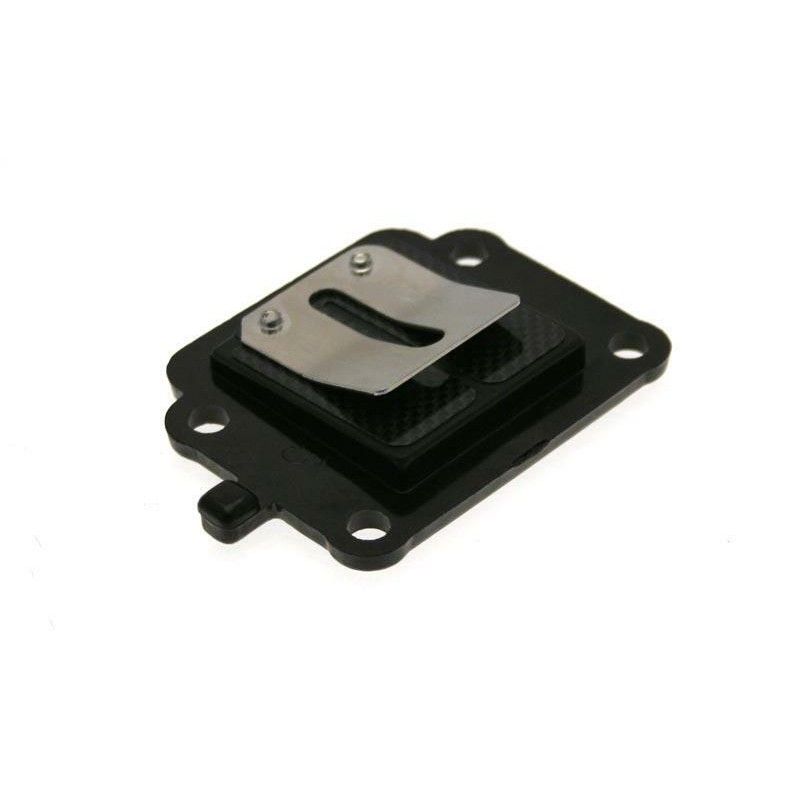 Caja láminas carbono B1 BOOSTER - motoscamaralweb.com