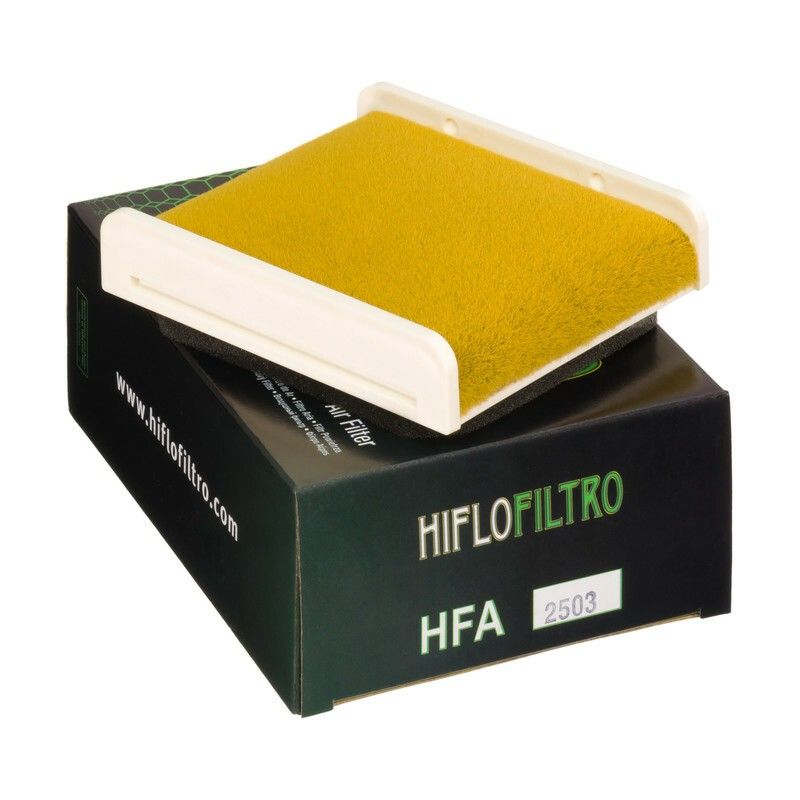Filtro de aire HIFLOFILTRO - HFA2503 - motoscamaralweb.com