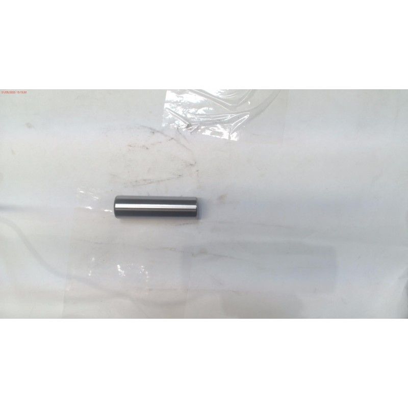 BULON PISTON DLM5301- motoscamaralweb.com