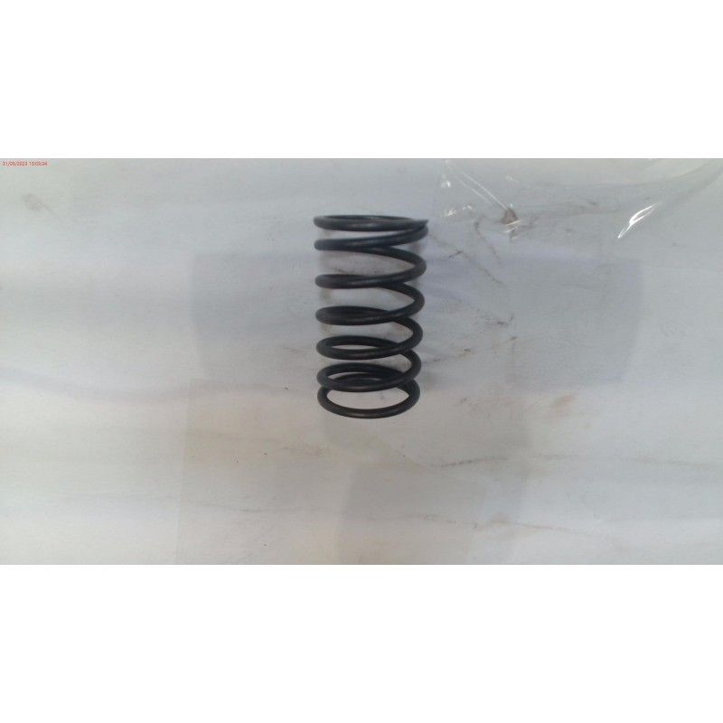 MUELLE VALVULA DLM5301- motoscamaralweb.com