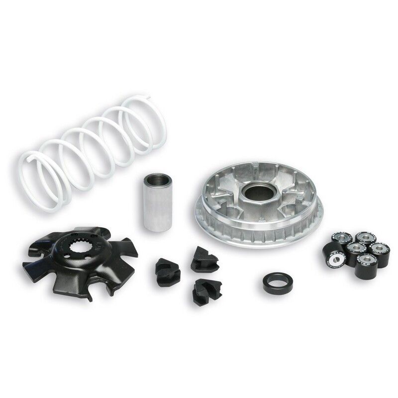 Variador Multivar Malossi SUZ. BURGMAN/EPICURO 125 SIXTEEN 125 5111324 - motoscamaralweb.com