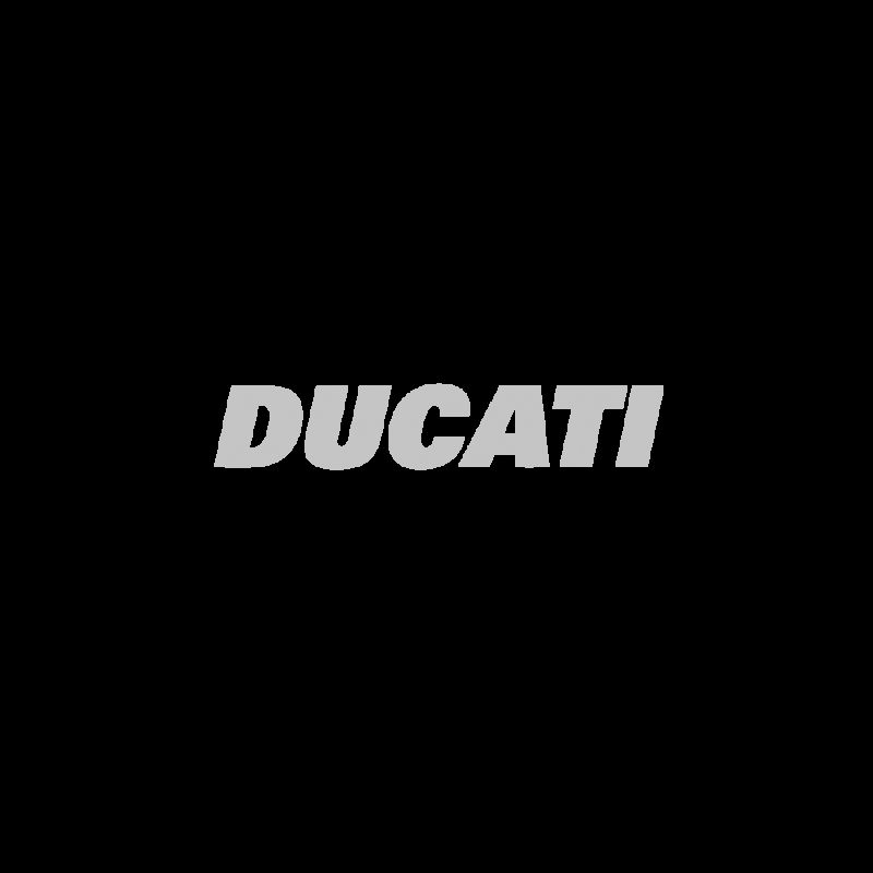 MUELLE 60MM TIJERA DUCATI DPS1/6- motoscamaralweb.com