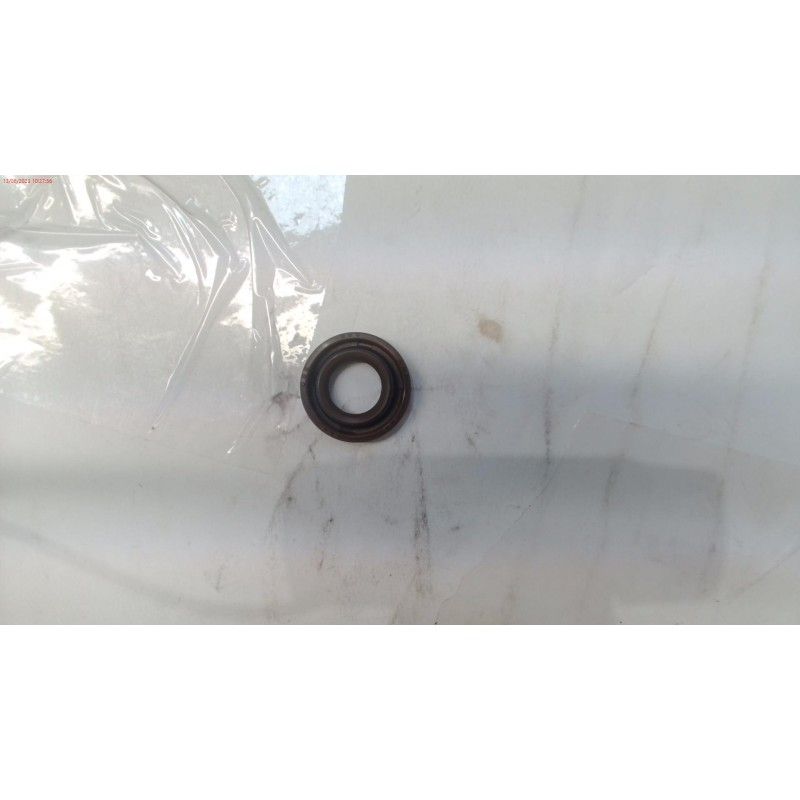 VALVULA COMPLETA 2 PULVERIZADOR DUCATI DSP2500 20L AE1- motoscamaralwe