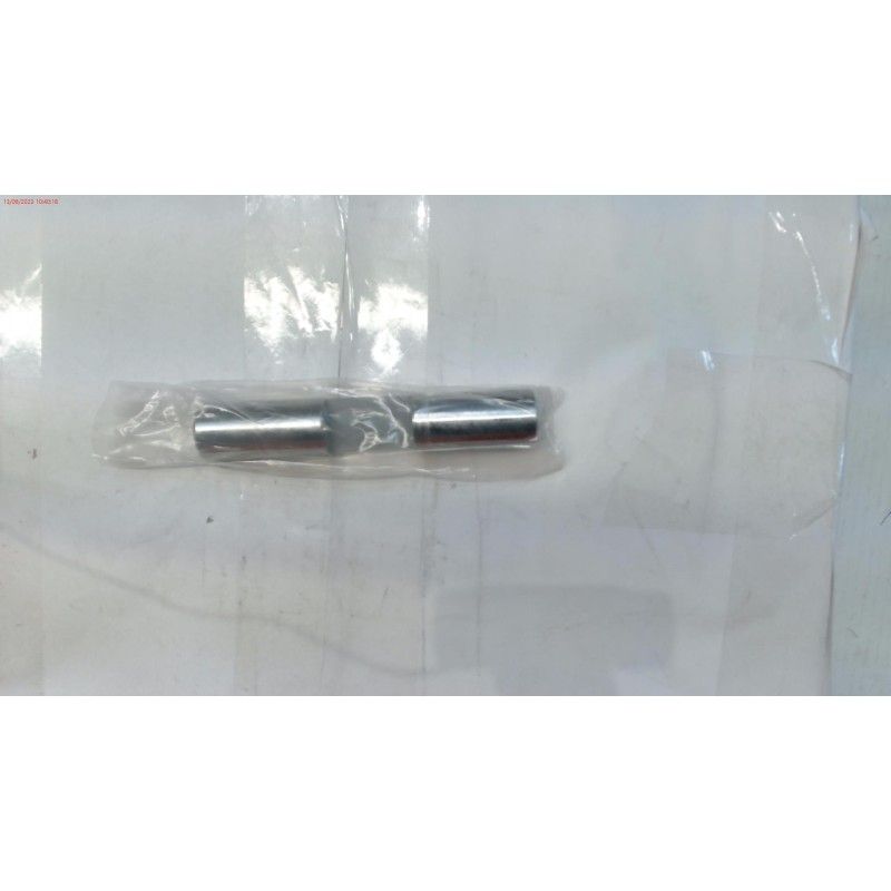 PISTON PULVERIZADOR DUCATI DSP2500 15/20L AE1- motoscamaralweb.com