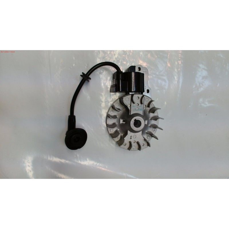 VOLANTE MAGNETICO PULVERIZADOR DUCATI DSP2500 20L E1- motoscamaralweb.