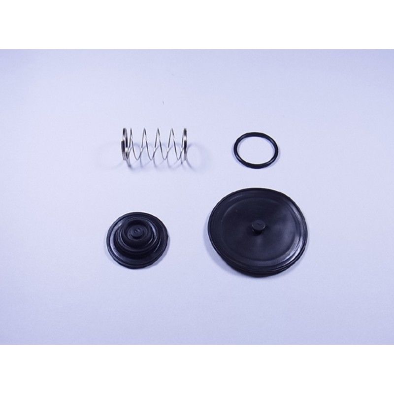 Kit Reparación grifo de gasolina GL15000 FCK-41 - motoscamaralweb.com