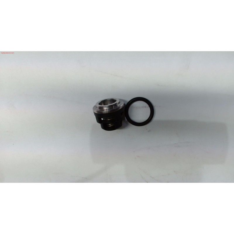 TAPON CULATA DWP3700/H- motoscamaralweb.com