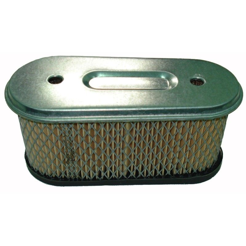 FILTRO AIRE AD BRIGGS (REF.ORIG. 491021)- motoscamaralweb.com