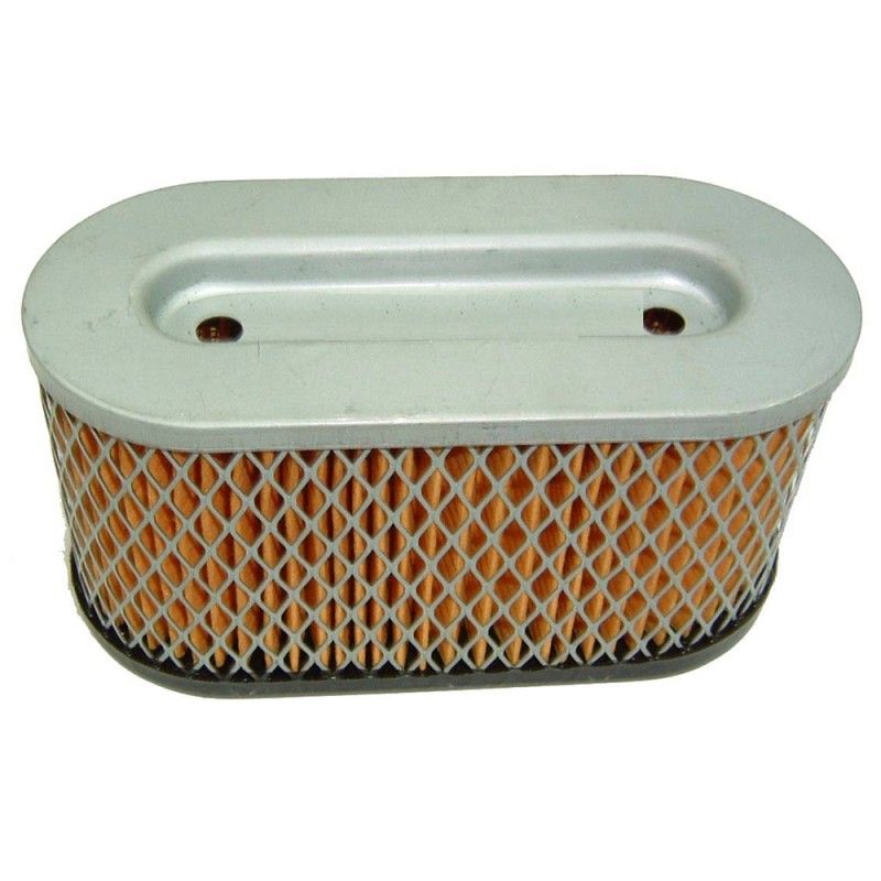 FILTRO AIRE AD BRIGGS (REF.ORIG. 491950)- motoscamaralweb.com
