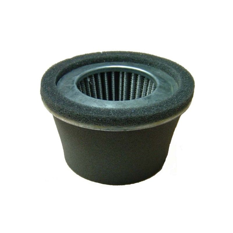 FILTRO AIRE AD BRIGGS MOD.100700 (3.5HP)MOTORES QUANTUM- motoscamaralw