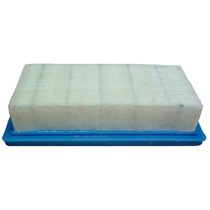 FILTRO AIRE AD BRIGGS. GEN. NELSON- motoscamaralweb.com