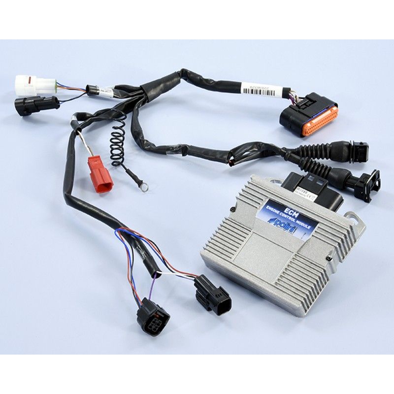 Centralita ECM POLINI - motoscamaralweb.com