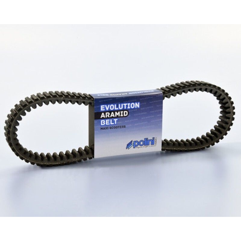 Correa de transmisión POLINI - motoscamaralweb.com