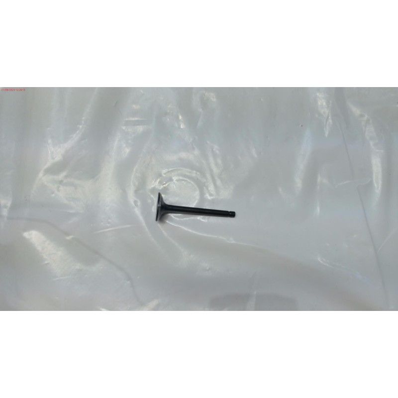 VALVULA ESC GY 150WS 15HP- motoscamaralweb.com