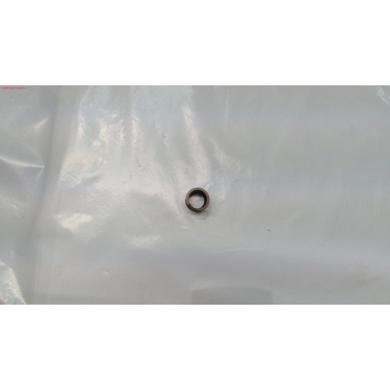 MUELLE VALVULA GY 150WS 15HP- motoscamaralweb.com