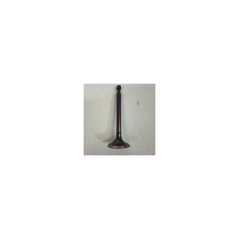 VALVULA ADMISION GY270/300- motoscamaralweb.com