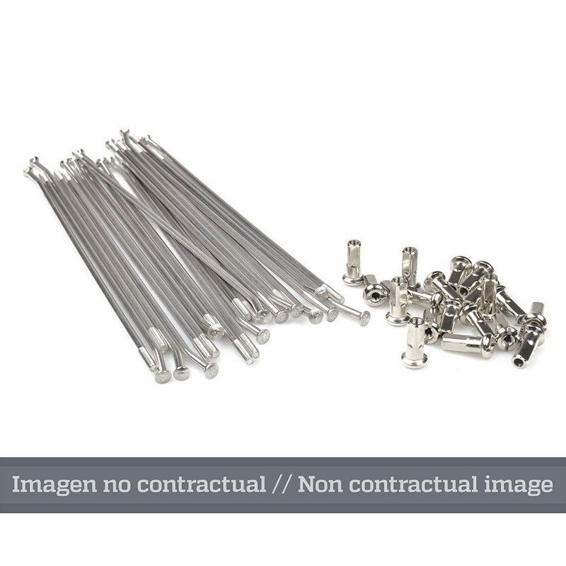 Juego de radios plata para llanta 17 para buje OEM 25 1406 - motoscamaralweb.com