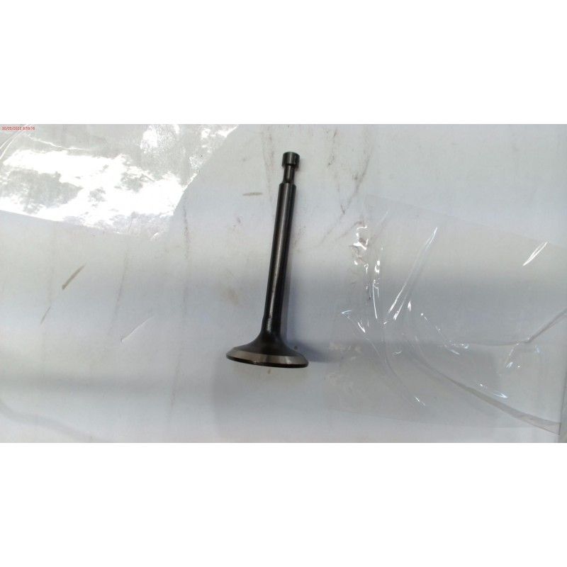 VALVULA ESCAPE CORTACESPED GOOD YEAR GY 51LM- motoscamaralweb.com