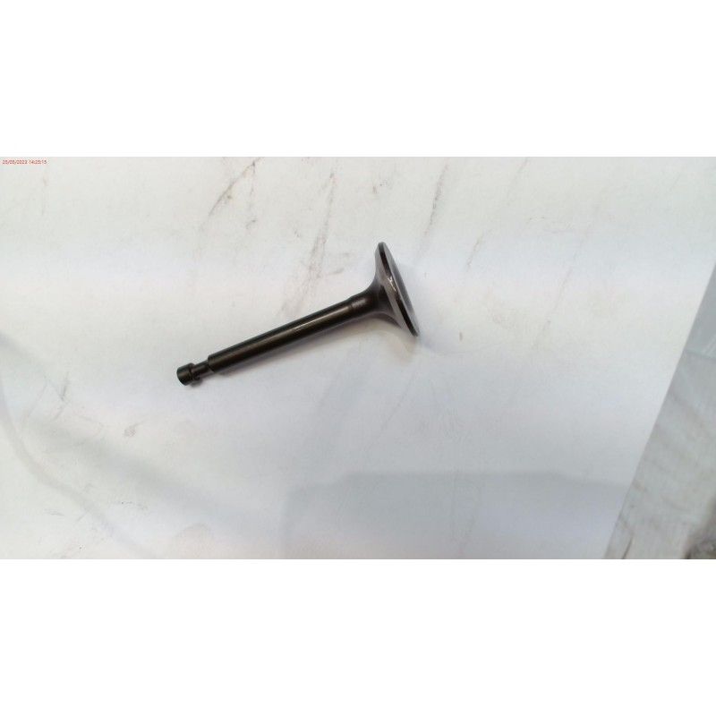 VALVULA ESCAPE CORTACESPED GOOD YEAR GY 53LM- motoscamaralweb.com