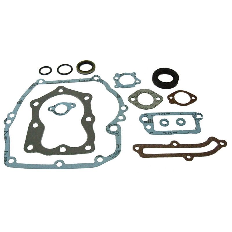 KIT JUNTAS AD BRIGGS - 14PIEZAS- motoscamaralweb.com