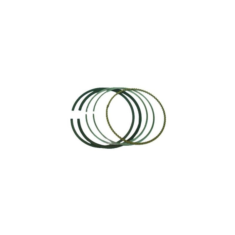 KIT SEGMENTOS AD BRIGGS (REF.ORIG. 790909)- motoscamaralweb.com