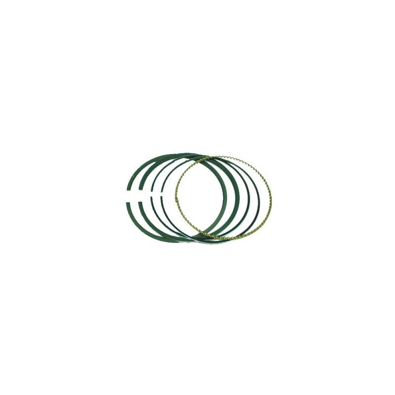 KIT SEGMENTOS AD BRIGGS (REF.ORIG. 791696)- motoscamaralweb.com