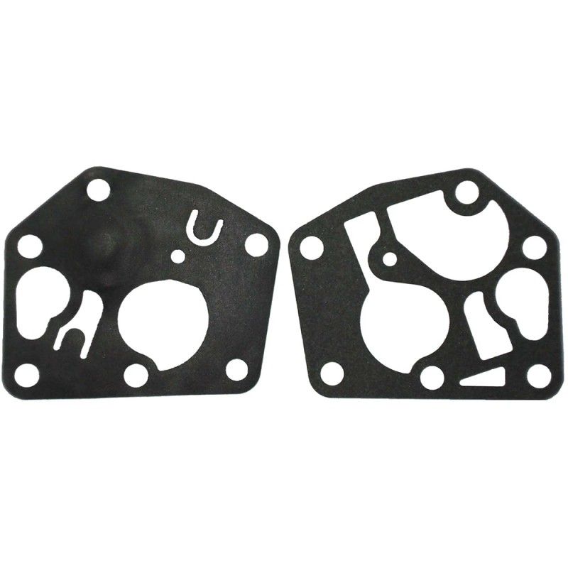 MEMBRANA AD. BRIGGS (REF. ORIG. 795083)- motoscamaralweb.com