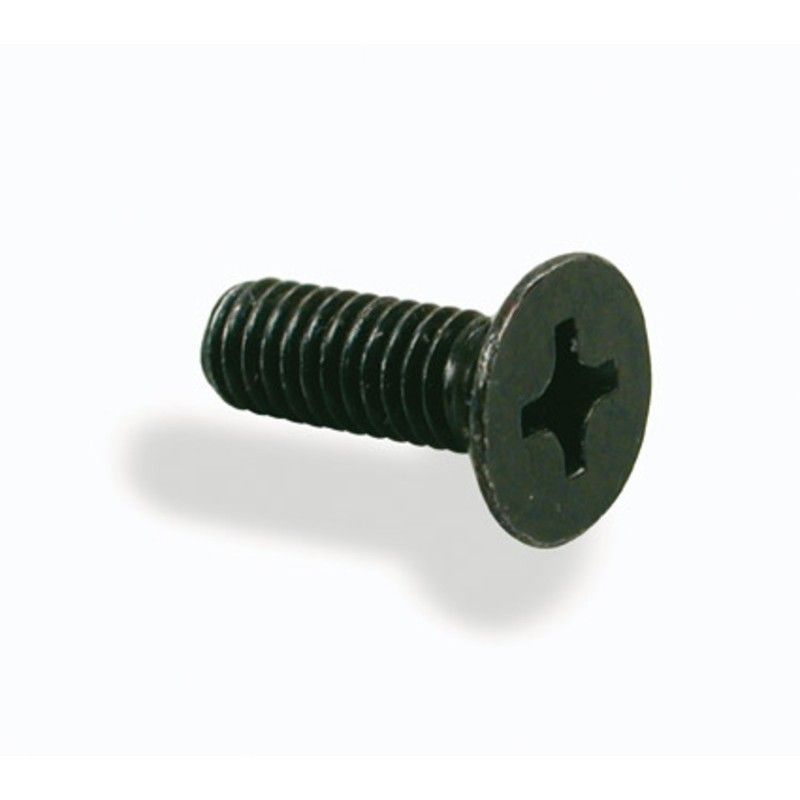 Tornillo para tapa bomba NISSIN M4x12 - 2 unidades - motoscamaralweb.com