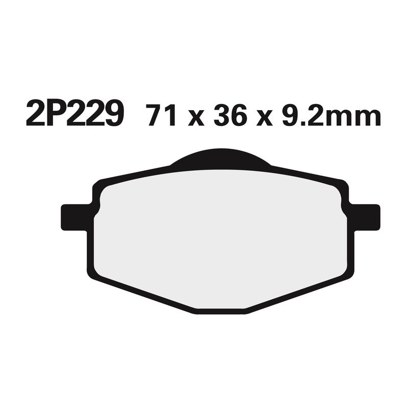 Juego pastillas de freno NISSIN 2P229GS Tra. XT600E 90- - motoscamaralweb.com