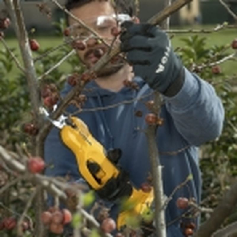 STIGA Tijera y sierra de poda a batería SC 100e Kit - motoscamaralweb.com