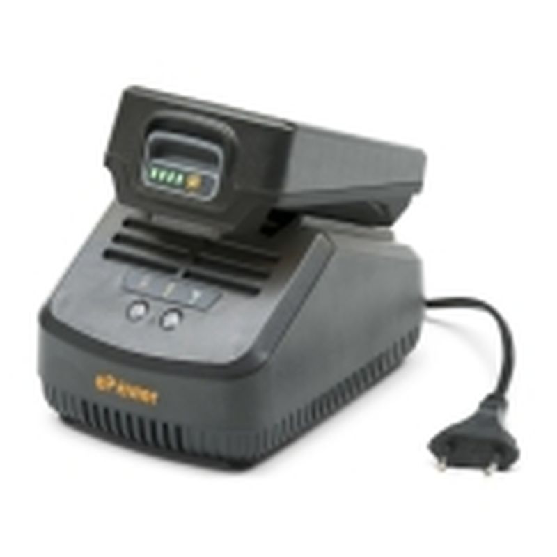 STIGA Alpina Mountfield Marca privada Kit batería - Cargador de batería C 215 s - motoscamaralweb.com