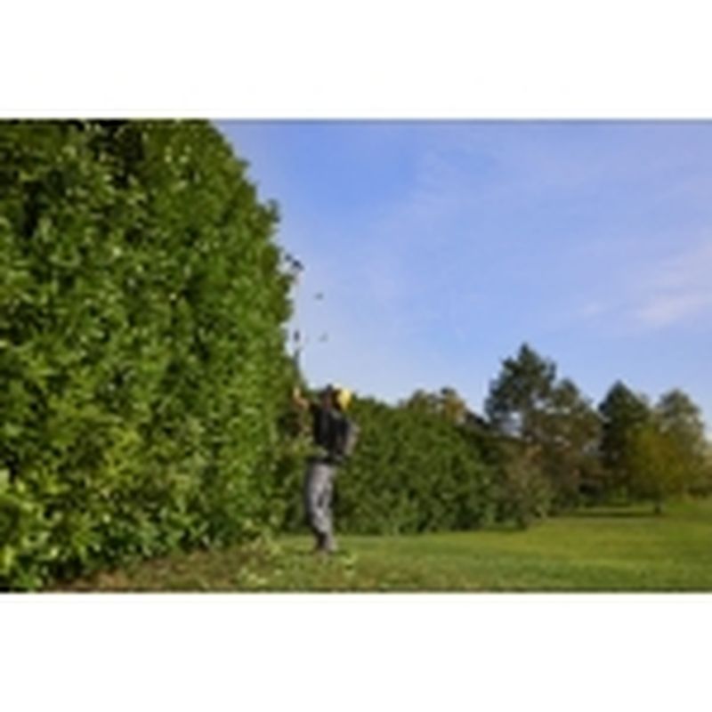 STIGA Cortasetos de batería SPH 900 AE - motoscamaralweb.com