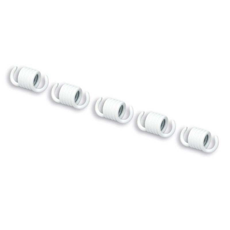 Muelle de embrague MALOSSI 2.2mm - juego de 5 - motoscamaralweb.com