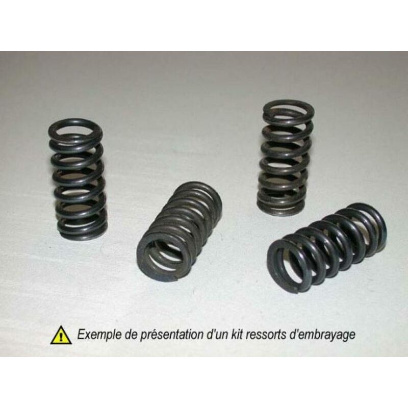 Kit muelles de embrague TOURMAX - RM80-85 77-07 RM125 88-91 HSP-314-5 - motoscamaralweb.com