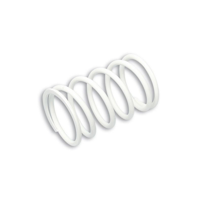 Muelle variador MALOSSI ø exterior 60x95 mm - ø alambre 5 mm - K 10 - motoscamaralweb.com