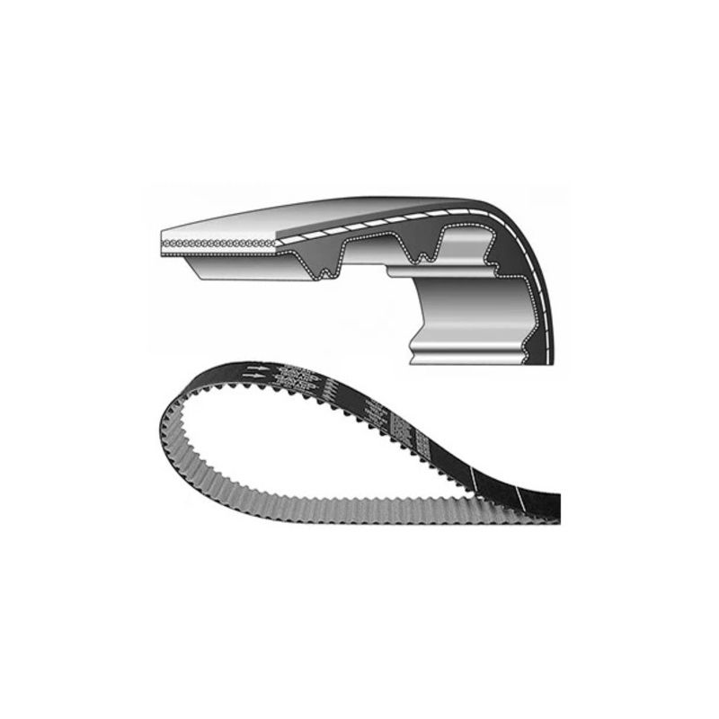 Correa DAYCO - motoscamaralweb.com