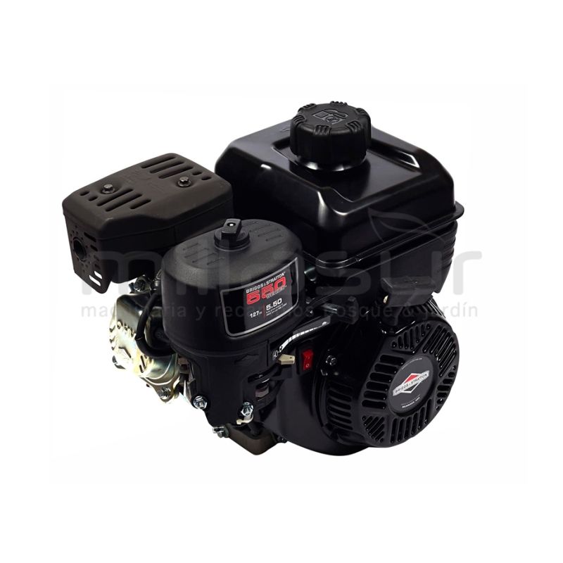 MOTOR BRIGGS 550 3600 RPM (Ø19.05 X 62) - motoscamaralweb.com
