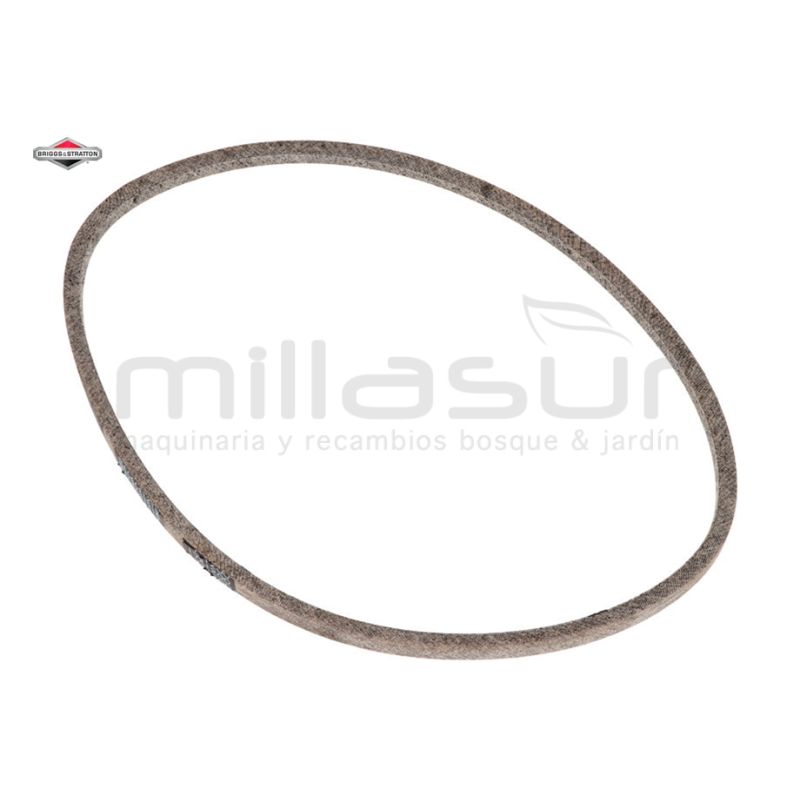 CORREA - motoscamaralweb.com