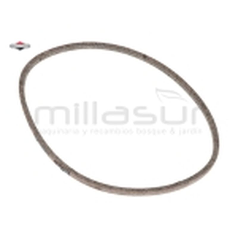 CORREA - motoscamaralweb.com