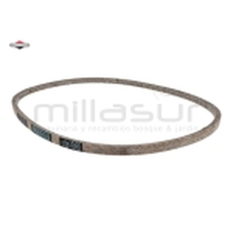 CORREA - motoscamaralweb.com