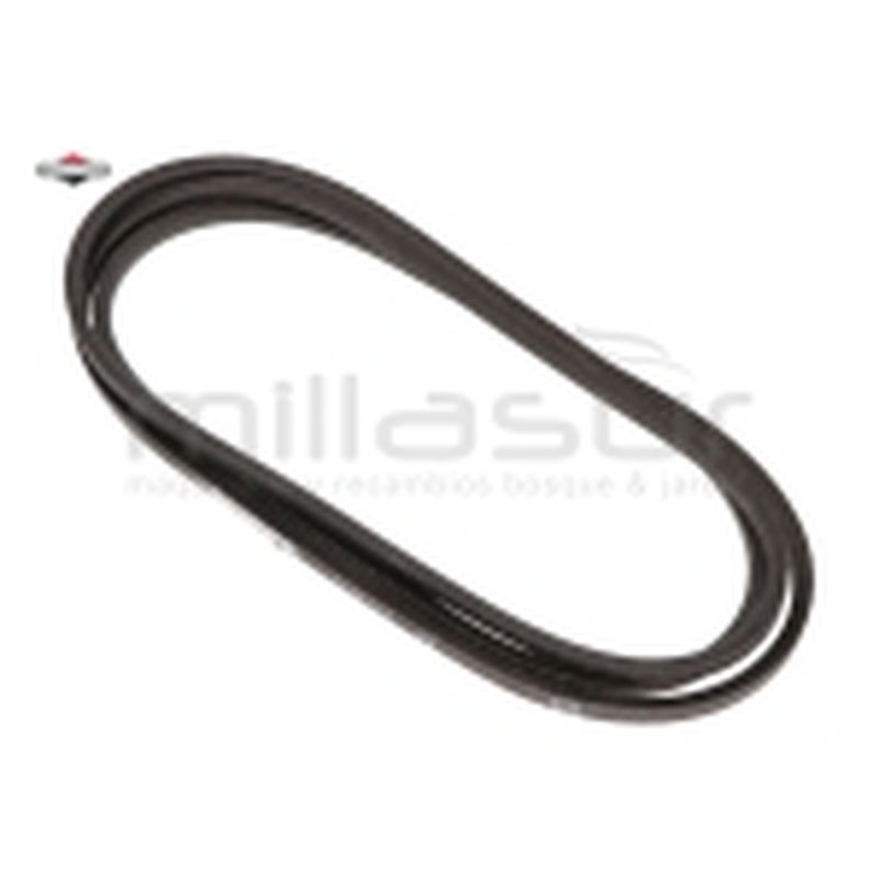 CORREA - motoscamaralweb.com