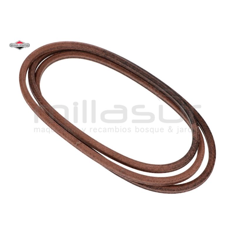 CORREA - motoscamaralweb.com