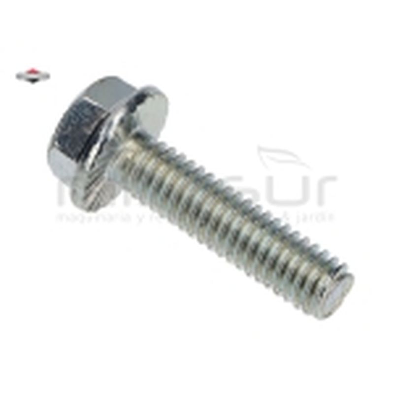 TORNILLO - HEX - motoscamaralweb.com