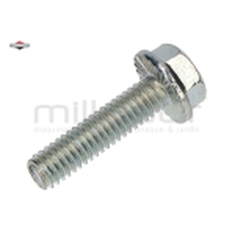 TORNILLO - HEX - motoscamaralweb.com