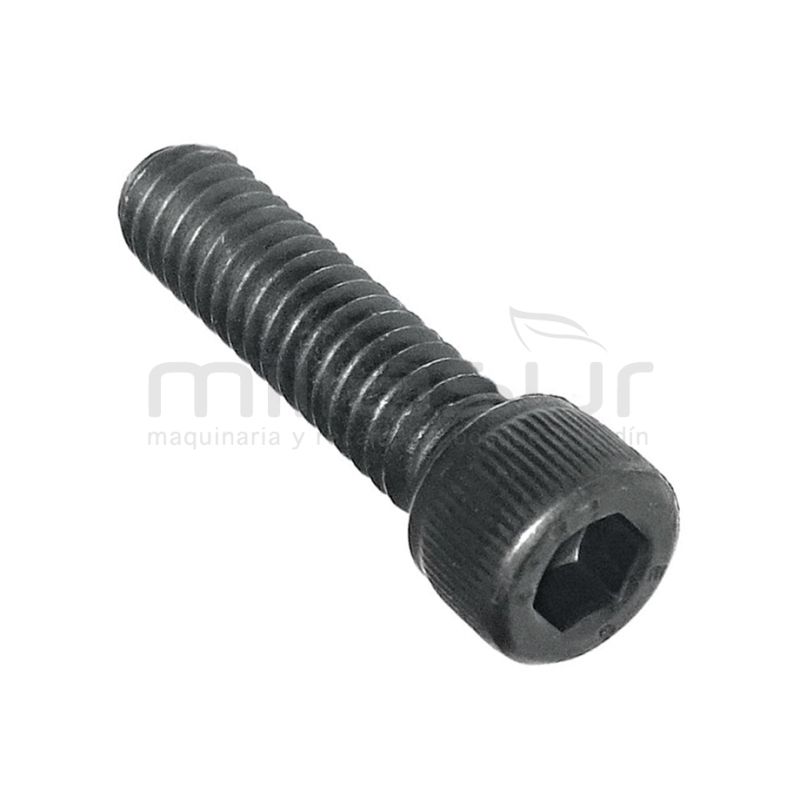TORNILLO HUSQVARNA 61. 266. 268. 272. 281. 288. 394. 395. 3120. K1250 (CILINDRO) - motoscamaralweb.com