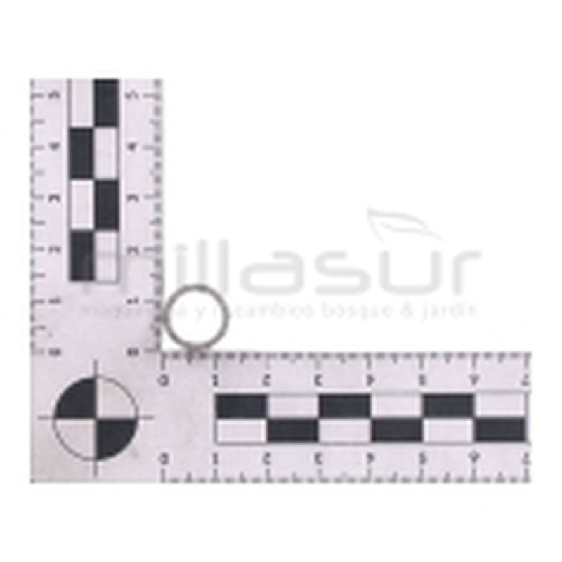 RODAMIENTO CAMPANA EMBRAGUE 10x13x10 ADAPTABLE A STIHL 017. 018. 021. 023. 025. 029. 034. 036. 039 - motoscamaralweb.com