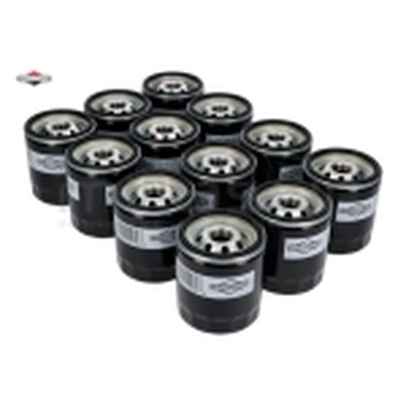 PACK 12 X 491056 FILTRO DE ACEITE - motoscamaralweb.com